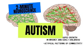 2Minute Neuroscience Autism [upl. by Kinnon]