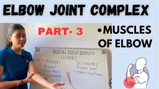 ELBOW JOINT COMPLEX  FLEXOR AND EXTENSOR MUSCLES  BIOMECHANICS [upl. by Serles658]