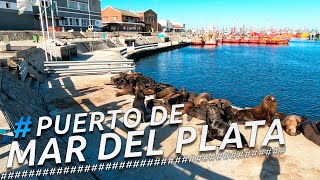 Recorriendo PUERTO DE MAR DEL PLATA ZONA TURISTICA I BUENOS AIRES I ARGENTINA I 4K Walking Tour VLOG [upl. by Smailliw]