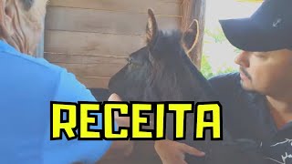 COMO CURAR GARROTILHO EM CAVALO COM RECEITA CASEIRA [upl. by Seraphina]