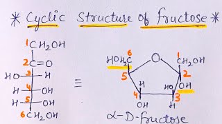 Cyclic Structure of Fructose  Biomolecules  JEE NEET [upl. by Kermie]