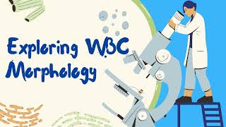 Exploring Haematology Morphology  White blood cells Leukocytes introduction [upl. by Vasileior]