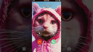 JOHN CAT calling you shortvideos shorts virel [upl. by Nohs]