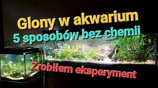 Glony w akwarium 5 sposobów bez chemii [upl. by Ataynik]