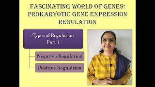 Prokaryotic Gene Expression RegulationTypes of RegulationNegative RegulationPositive Regulation [upl. by Alaet321]