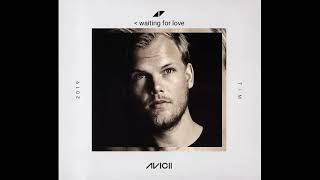 A TRIBUTE TO AVICII  Avicii  Hollywood Lyrics 153 [upl. by Blakeley]