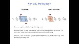 Tips and Considerations for Genomewide DNA methylation and RRBS Dr Aniruddha Chatterjee [upl. by Suoiluj]