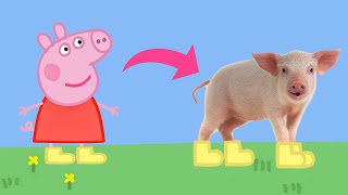 Real life Peppa Pig Parody Episode 1 [upl. by Irep]