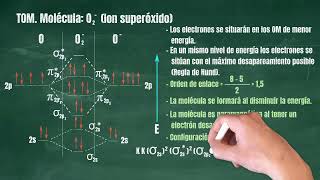 32 Teoría de Orbitales Moleculares Molécula O2 superóxido [upl. by Pachton]