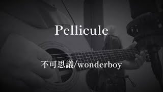 Pellicule（弾き語りcover） 不可思議wonderboy [upl. by Pardo]