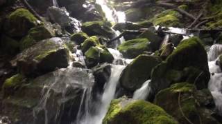 Mayacamas Trail waterfall [upl. by Kern]