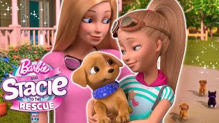 Barbie amp Stacie meet NEW PUPPIES  Netflix Movie Clip  Barbie amp Stacie To The Rescue [upl. by Lisette]