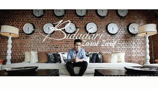 Zarol Zarif  Bidadari Official Music Video [upl. by Aicsila]