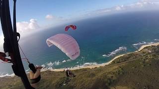 Living Dangerously in Hawaii Speedflying Soaring and Wingsuiting with friends [upl. by Zechariah]