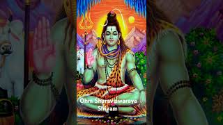 Oohm Sharaviswaraya astaheeey Parameshwara🙏🙏🙏 Lord Shiva divetional Powerfull sotram morning 🌄🌅 song [upl. by Blossom]