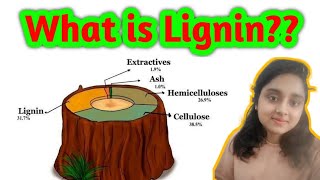 What is Lignin  All about lignin  Biotechnology Biochemistry [upl. by Nerraw]