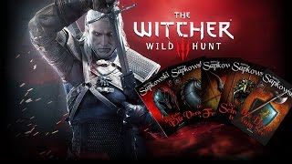 The Witcher  Storyzusammenfassung der HexerRomane [upl. by Woodsum]