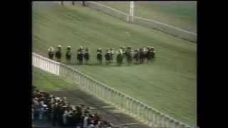 1973 Burmah Castrol Ayr Gold Cup Handicap [upl. by Dessma196]