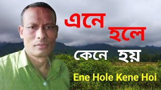 Ene Hole Kene Hoi  Prabin Borah  Nilakshi Neog  Cover Song  Bipul Gogoi [upl. by Ansell]