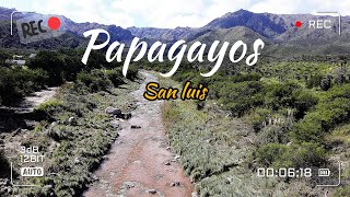 PAPAGAYOS san luis [upl. by Adrianne898]