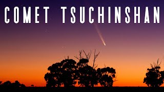 How To See Comet TsuchinshanATLAS Tonight [upl. by Gaston337]