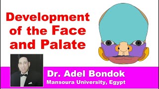 Development and Anomalies of the Face and Palate Dr Adel Bondok [upl. by Tingey]