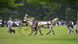 Sallie Walrond drives cones and skills Helmingham Hall Concours dAttelage [upl. by Hsekar]