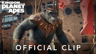 Kingdom of the Planet of the Apes I quotWhat a Wonderful Dayquot Official Clip [upl. by Evvie753]