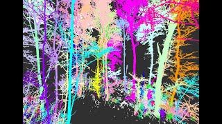 SimpleForest Tutorial  Plot No 02  Tree cloud segmentation [upl. by Yup]