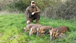 Muntjac amp Cwd hunt with Irishsafarishunting [upl. by Inalaehak204]