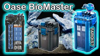 Oase Biomaster Thermo Unboxing and Setup The Best Aquarium Filter [upl. by Wayolle337]