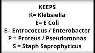 UTI Causing Bacteria Mnemonic [upl. by Atteiluj]