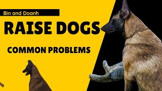 Common problems when starting to raise dogs [upl. by Boylston]