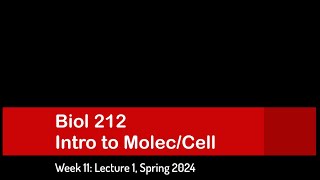 CSULB Spring 2024 Biol 212  Week 11 Lecture 1 [upl. by Taffy54]