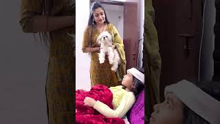 amaira ko papa ki yad a rhi h shorts amairagurjar1080P 60FPS [upl. by Brandise]