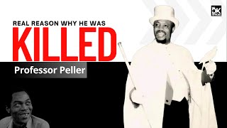 Professor Peller  Why He Was Assassinated professorpeller danielkujoofficial chillingstories [upl. by Josefa]