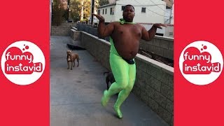 King Bo New Videos 2018  Funny King Bo Vine Compilation WTitles  Funny InstaVID [upl. by Zakaria]