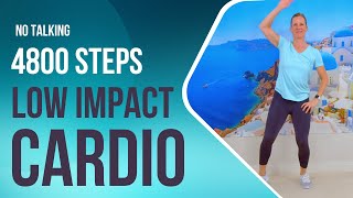 Low Impact Standing Cardio Get Fit Without Jumping [upl. by Riobard]