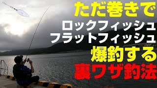 アピアの新商品リグを使ってマゴチ・キジハタなど底モノの魚を釣る！ [upl. by Ahsuat523]