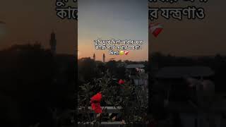 জানো না মন খালে বিলে Somoy Gele Sadhon Hobe Na  Sumi  Lalon Band Song [upl. by Pardew15]