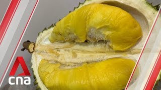 Tips on how to choose the best durians from a Mao Shan Wang expert  CNA Lifestyle [upl. by Eninahpets917]