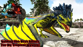 Breeding Up The Tropical Crystal Wyvern For Awesome Colors Ark Crystal Isles Part 8 [upl. by Klein]