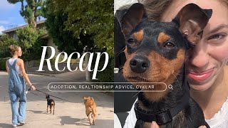 RECAP • our new rescue [upl. by Orapma]