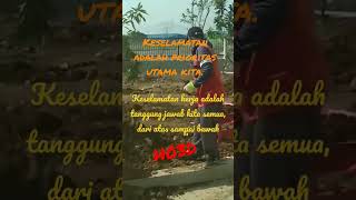 safe a work work worksafe kerjaaman dothebest responsible teamwork plants exited semangat [upl. by Anerhs]