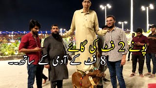 Tallest Man of Pakistan With Worlds Smallest Cow Rani [upl. by Ruprecht]