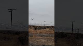 Mountain views in McDermitt Nevada mountains snow nevada [upl. by Leahicm]