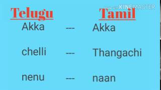 Learn Tamil through telugu part1  telugu latest [upl. by Enajaras]