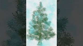 Pine tree covered with snow Winter vibe Easy simple loosepainting with Gopaint [upl. by Eicart]