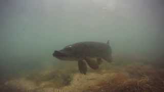 Cromford Canal Pike [upl. by Oiligriv551]