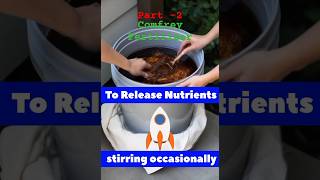 Comfrey Plant For Fertilizer Comfrey Tea For Plants part2 🤑 viralshorts shorts gardening [upl. by Duhl]